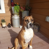 Entry image for Lexi