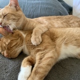 Entry image for Flynn and Bill