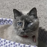 Entry image for VALERIE 