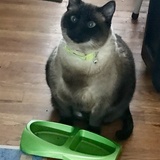 Entry image for VIVIAN  aka BIG VIV