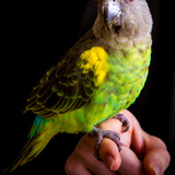 Entry image for Jean Luc