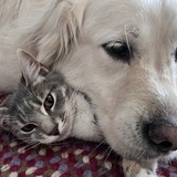 Entry image for Poppy and Nash