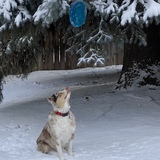 Entry image for Ryley