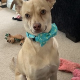 Entry image for Tucker