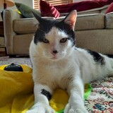 Entry image for Gary