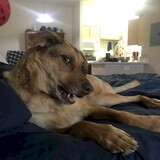 Entry image for Penny