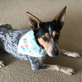 Entry image for Carly