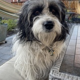 Entry image for Truffles