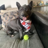 Entry image for Delta 