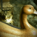 Entry image for Maggie