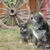 Entry image for Cindy & Skip