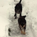 Entry image for Cindy & Skip