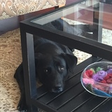 Entry image for Link