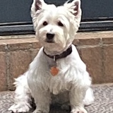 Entry image for Zoey