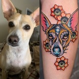 Entry image for Yo-Yo