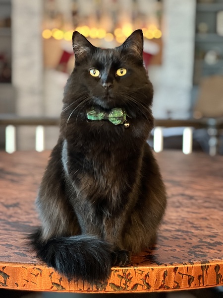 Entry image for Karnak. Clicking this image will show a larger photo