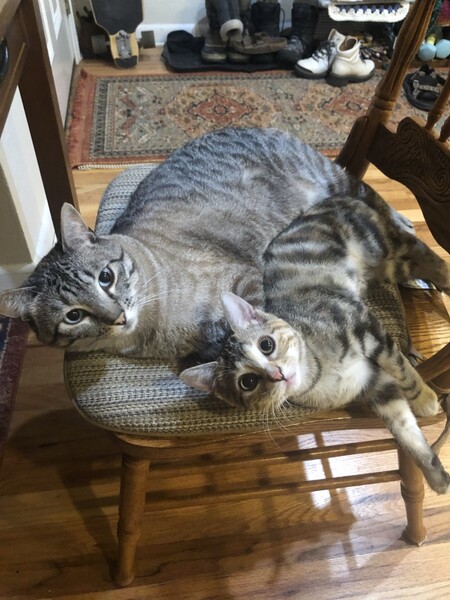 Entry image for Appa and Sequoia . Clicking this image will show a larger photo