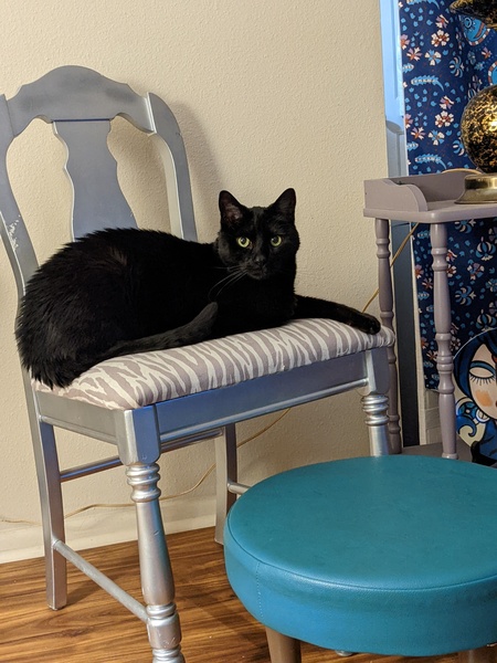 Entry image for Tofu. Clicking this image will show a larger photo