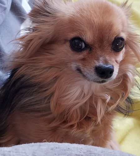 Entry image for Tegan Marie. Clicking this image will show a larger photo