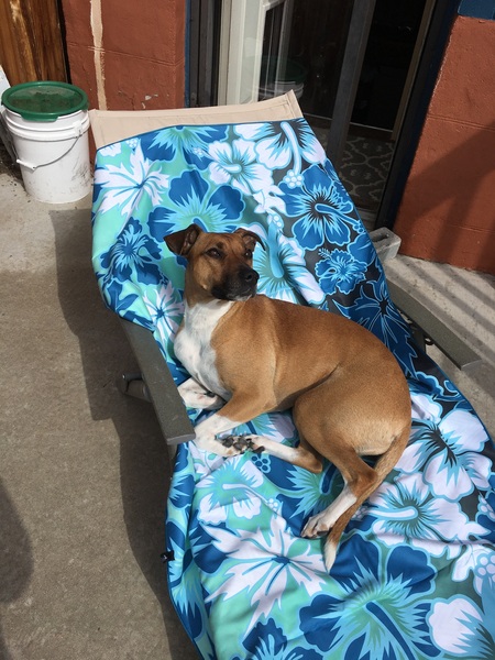 Entry image for Athena. Clicking this image will show a larger photo