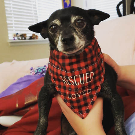 Entry image for Turbo. Clicking this image will show a larger photo