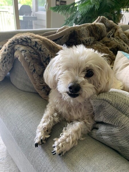 Entry image for Lena. Clicking this image will show a larger photo