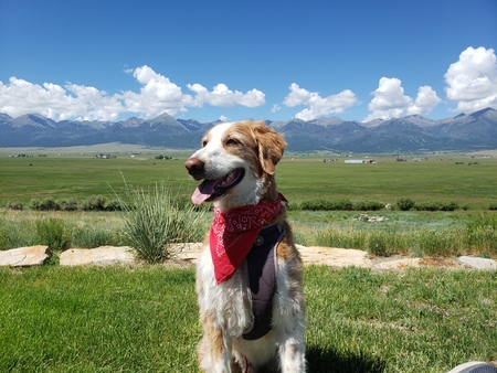 Entry image for TJ. Clicking this image will show a larger photo