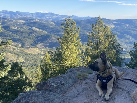 Entry image for Ares. Clicking this image will show a larger photo