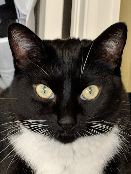 Entry image for Shinigami. Clicking this image will show a larger photo