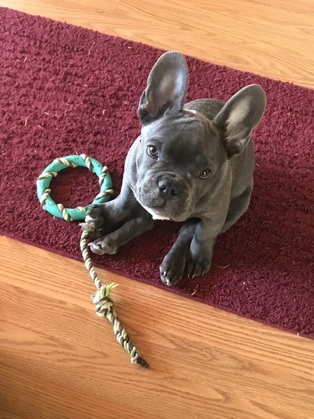 Entry image for Doc Holliday. Clicking this image will show a larger photo