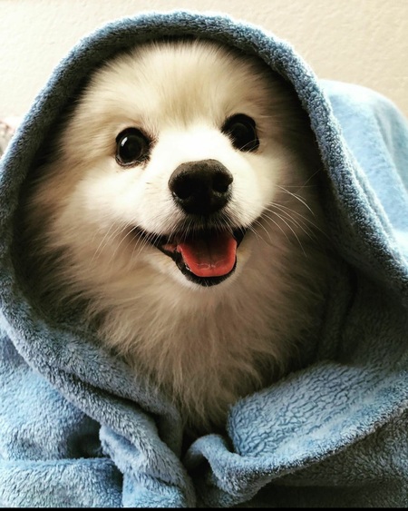 Entry image for Sake. Clicking this image will show a larger photo