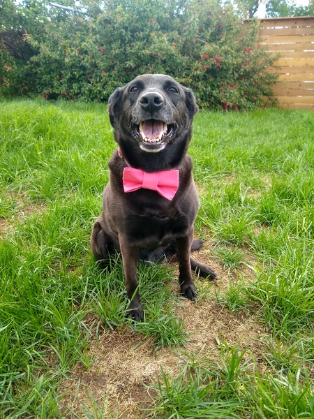 Entry image for Juneau. Clicking this image will show a larger photo