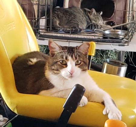 Entry image for Sophia and Ivar . Clicking this image will show a larger photo