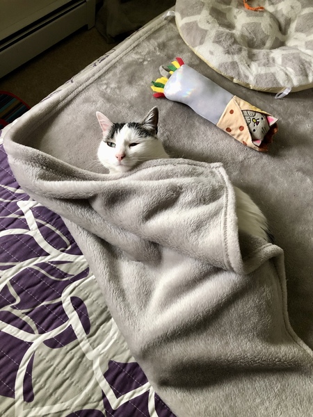 Entry image for Mya. Clicking this image will show a larger photo