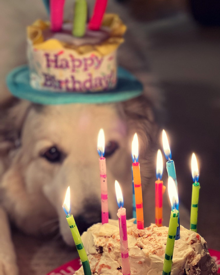 Entry image for Buddy Montgomery. Clicking this image will show a larger photo