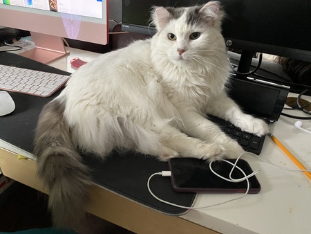 Entry image for Agnes Crumplebottom . Clicking this image will show a larger photo