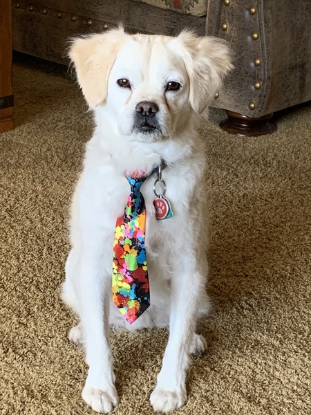 Entry image for Arnie (Arnold Palmer). Clicking this image will show a larger photo