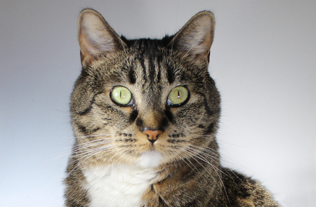 Entry image for Madelyn. Clicking this image will show a larger photo