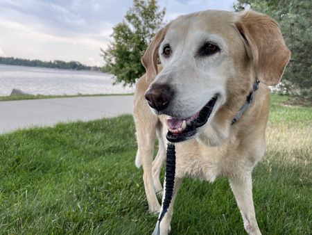 Entry image for Rio. Clicking this image will show a larger photo