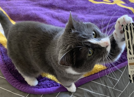 Entry image for Pinky. Clicking this image will show a larger photo