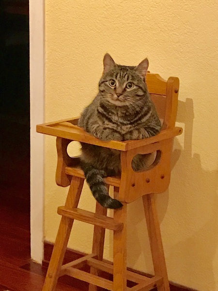 Entry image for Charlotte . Clicking this image will show a larger photo