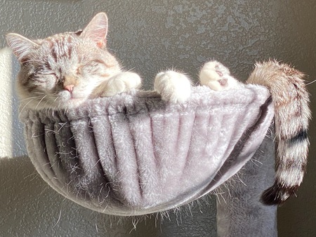 Entry image for marco. Clicking this image will show a larger photo