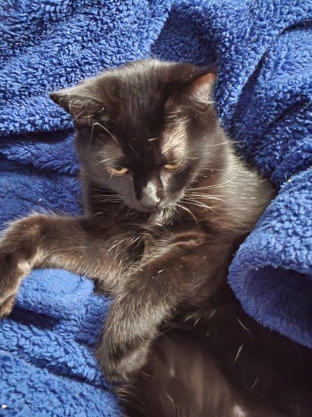 Entry image for Magic. Clicking this image will show a larger photo