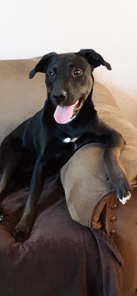 Entry image for Ariel. Clicking this image will show a larger photo