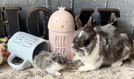 Entry image for Skye and Her Baby Beanie. Clicking this image will show a larger photo