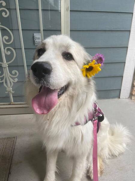 Entry image for Osa . Clicking this image will show a larger photo