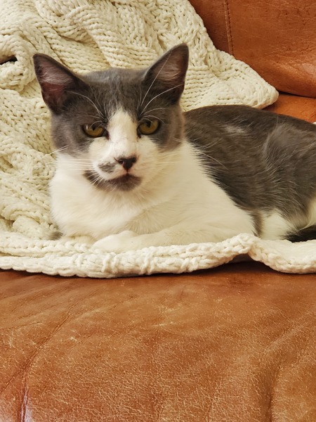 Entry image for Sydney. Clicking this image will show a larger photo