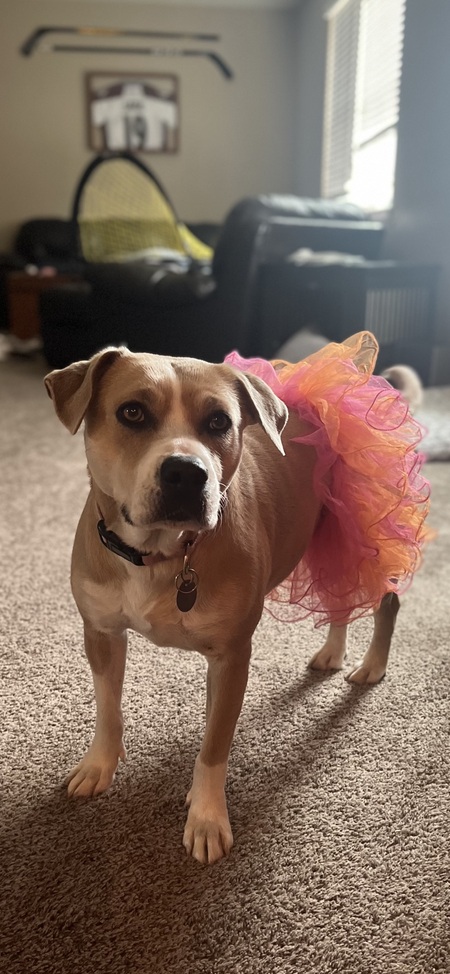 Entry image for Kadri. Clicking this image will show a larger photo