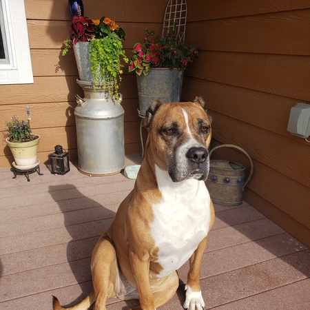 Entry image for Lexi. Clicking this image will show a larger photo