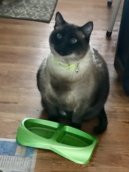 Entry image for VIVIAN  aka BIG VIV. Clicking this image will show a larger photo